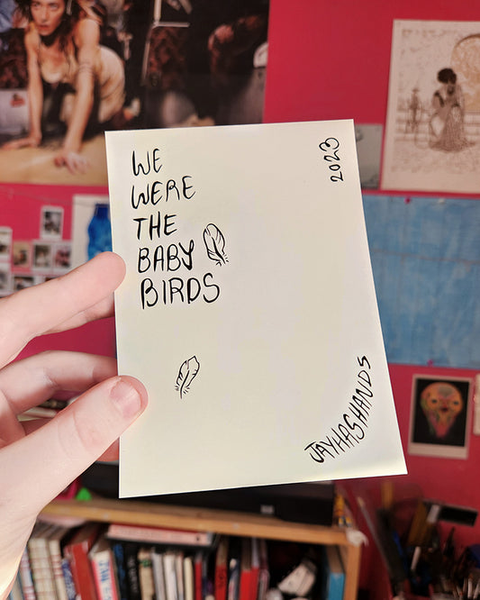 Baby Birds Postcard