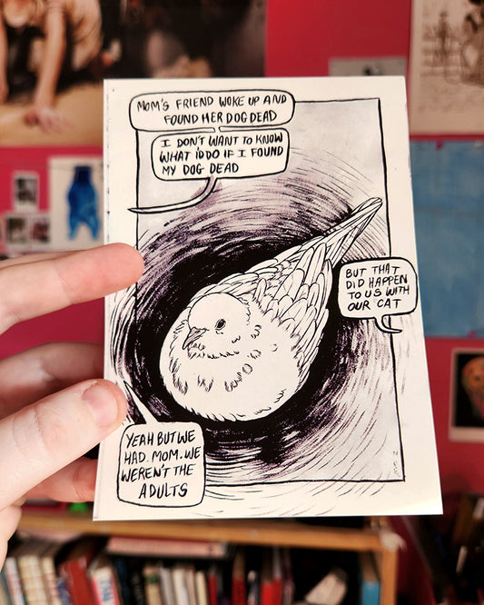 Baby Birds Postcard